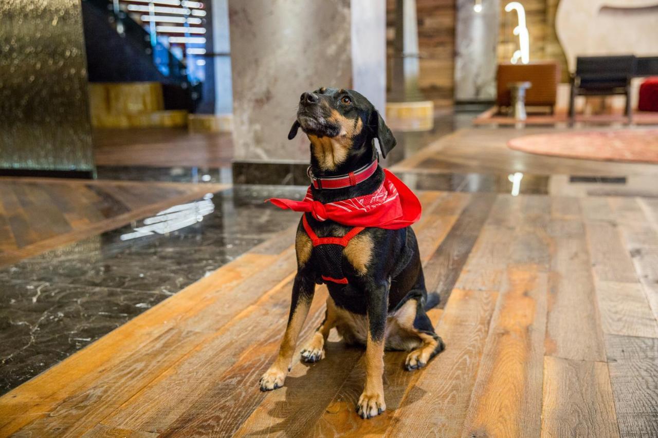 Bobby Hotel Nashville Eksteriør bilde